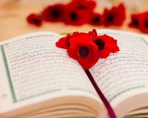 Online Quran Tafseer